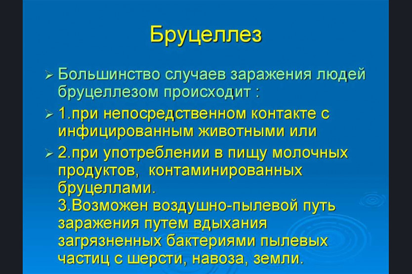Бруцеллез у людей симптомы фото