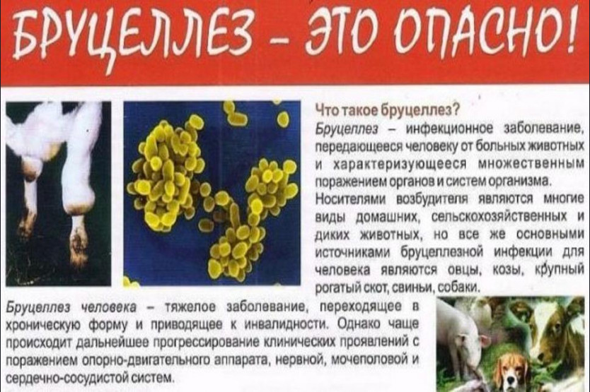 Безопасность учеников