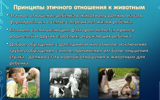 Владельцам домашних животных!